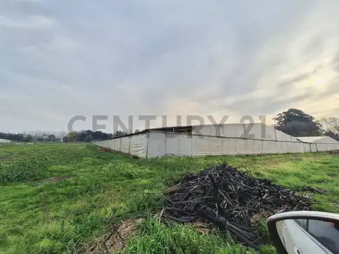 Campo en Venta en Mar del Plata, Partido de General Pueyrredón