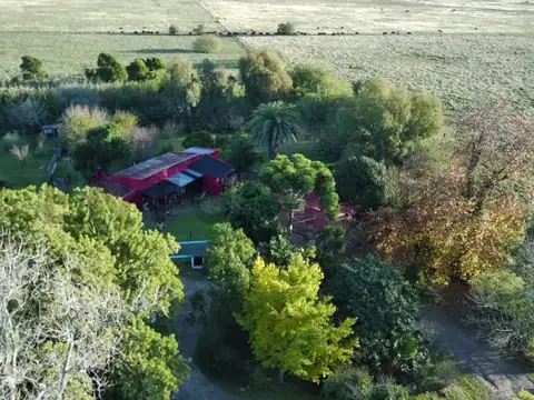 Campo en Venta en Magdalena, Partido de Magdalena