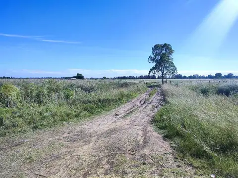 Campo en Venta en Marcos Paz, Partido de Marcos Paz