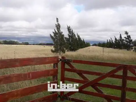 Campo en Venta en Veronica, Partido de Punta Indio