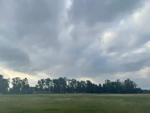 Campo en Venta en La Plata, Partido de La Plata