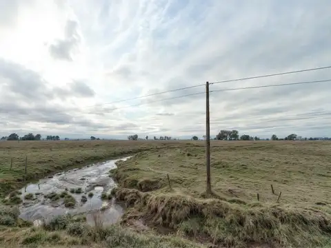 Campo en Venta en Balcarce, Partido de Balcarce