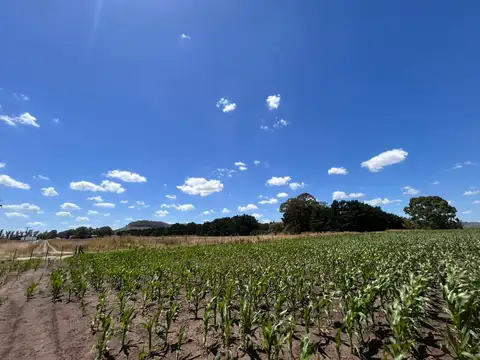 Campo en Venta en Balcarce, Partido de Balcarce