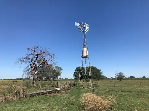 Campo en Venta en San Pedro, Partido de San Pedro