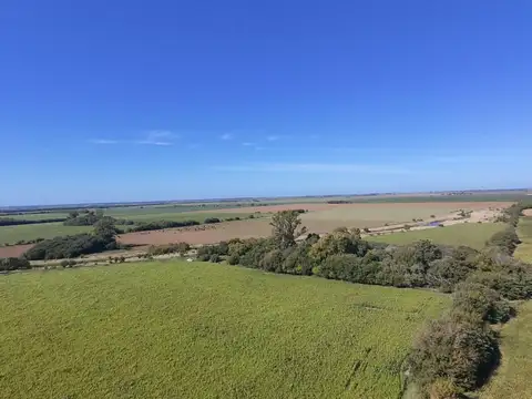 Campo en Venta en El Paraiso, Partido de Ramallo