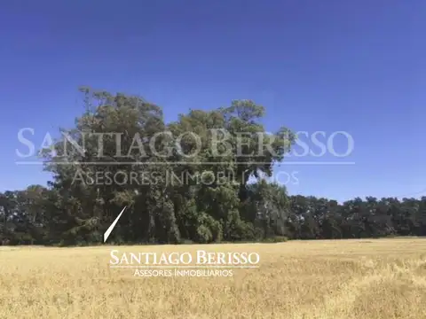 Campo en Venta en Lima, Partido de Zárate