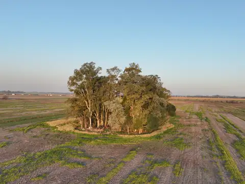 Campo en Venta en Exaltacion de la Cruz, Partido de Exaltación de la Cruz