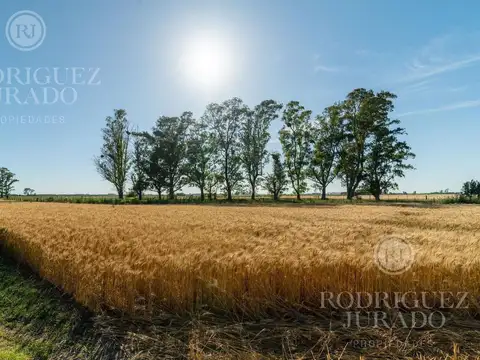 Campo en Venta en San Antonio de Areco, Partido de San Antonio de Areco