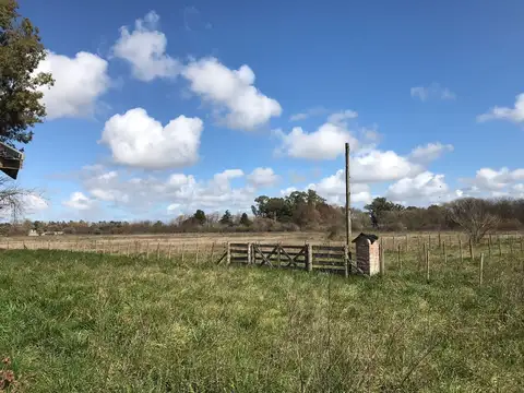 Campo en Venta en Lobos, Partido de Lobos