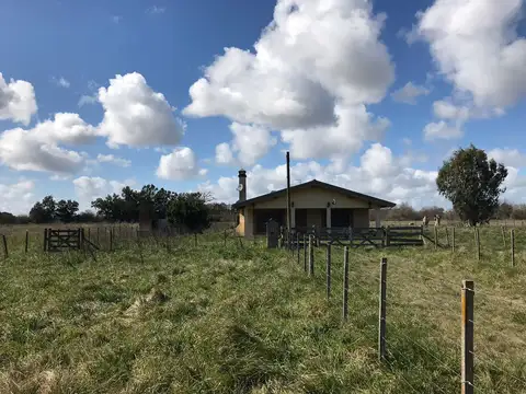 Campo en Venta en Lobos, Partido de Lobos