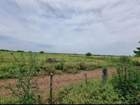 Campo en Venta en General Rodriguez, Partido de General Rodríguez