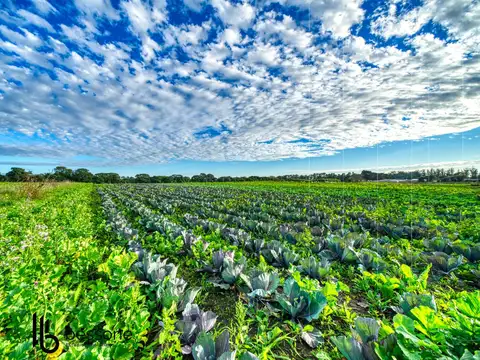 Campo en Venta en Barrio Batan, Partido de General Pueyrredón