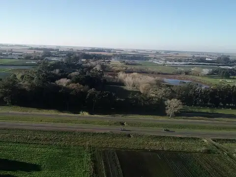 Campo en Venta en Mar del Plata, Partido de General Pueyrredón