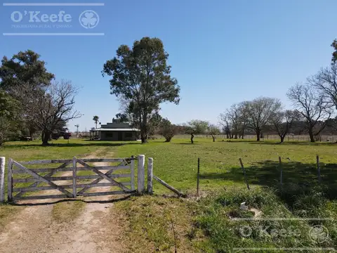 Campo en Venta en General Belgrano, Partido de General Belgrano
