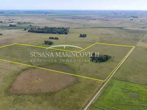 Campo en Venta en Tuyuti, Partido de San Andrés de Giles