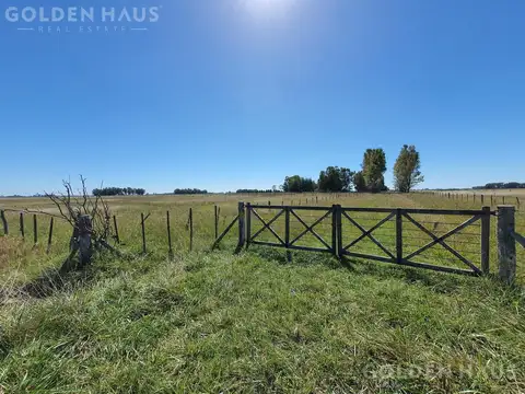 Campo en Venta en Saladillo, Partido de Saladillo