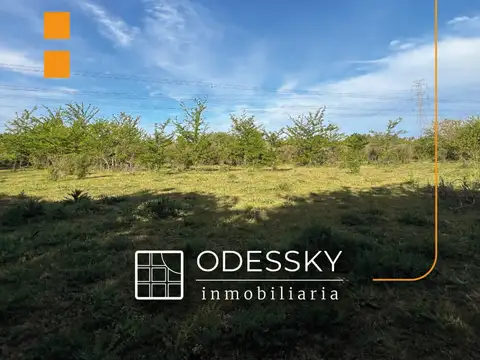 Campo en Venta en Vicente Casares, Partido de Cañuelas