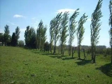 Campo en Venta en Exaltacion de la Cruz, Partido de Exaltación de la Cruz