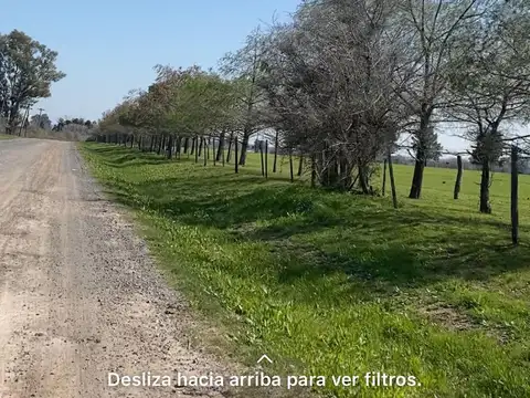Campo en Venta en Escalada, Partido de Zárate