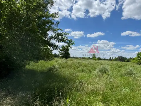 Campo en Venta en Parada Robles, Partido de Exaltación de la Cruz
