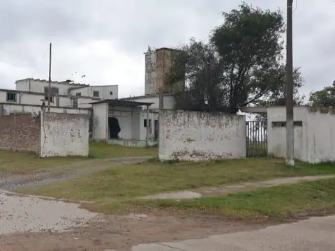 Campo en Venta en Loberia, Partido de Lobería