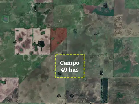 Campo en Venta en General Belgrano, Partido de General Belgrano
