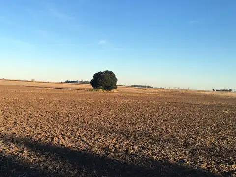 Campo en Venta en Ireneo Portela, Partido de Baradero