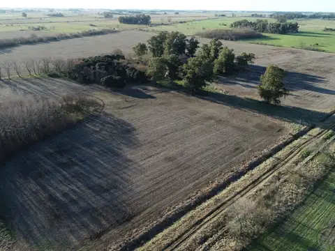 Campo en Venta en Empalme Lobos, Partido de Lobos