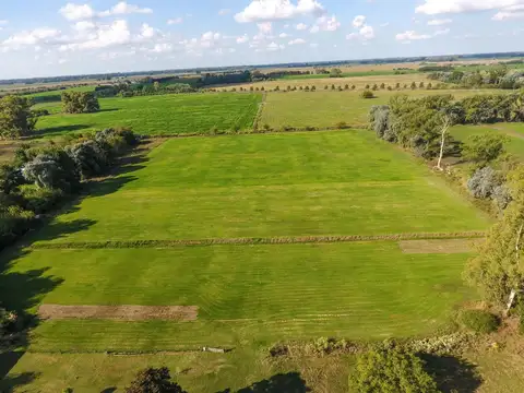 Campo en Venta en Torres, Partido de Luján