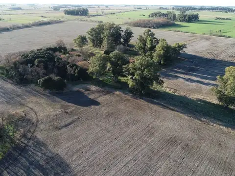 Campo en Venta en Empalme Lobos, Partido de Lobos