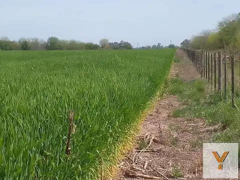 Campo en Venta en Empalme Lobos, Partido de Lobos