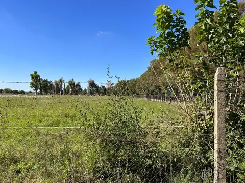 Campo en Venta en Orlando, Partido de Exaltación de la Cruz