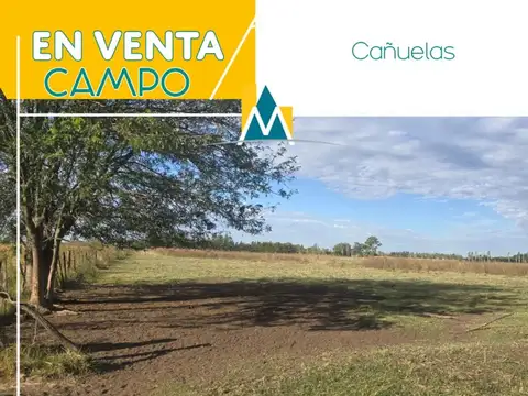 Campo en Venta en Cañuelas, Partido de Cañuelas