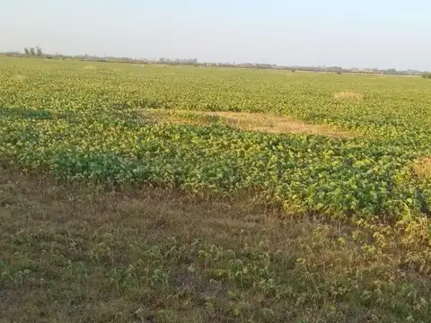 Campo en Venta en El Socorro, Partido de Pergamino
