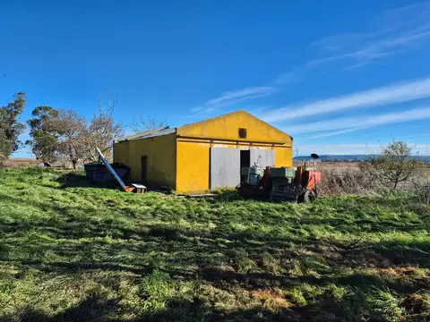Campo en Venta en Balcarce, Partido de Balcarce
