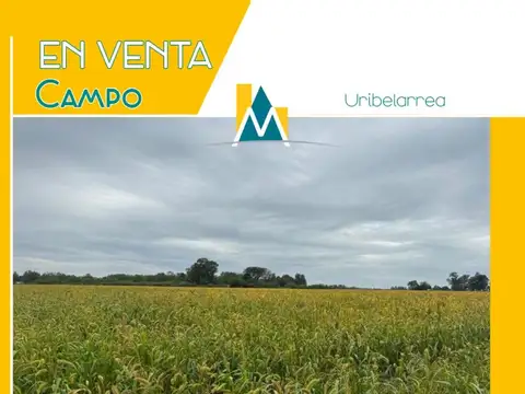 Campo en Venta en Uribelarrea, Partido de Cañuelas