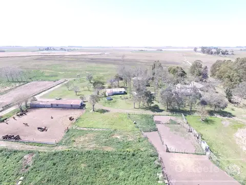 Campo en Venta en Lezama, Partido de Chascomús
