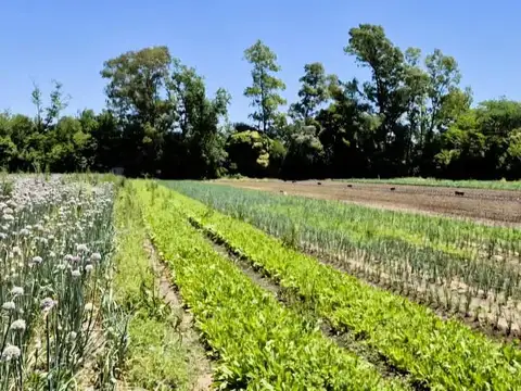 Campo en Venta en Belen de Escobar, Partido de Escobar