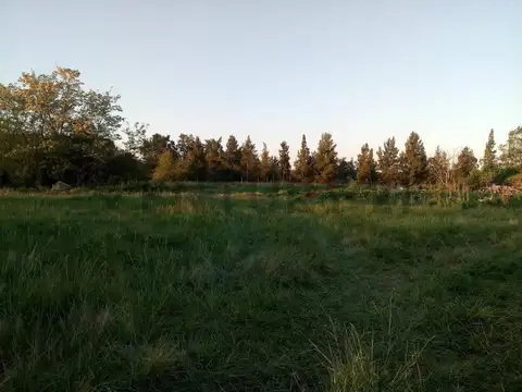Campo en Venta en Arana, Partido de La Plata