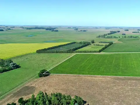 Campo en Venta en Mar Chiquita, Partido de Mar Chiquita