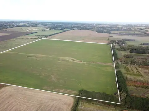 Campo en Venta en Mar del Plata, Partido de General Pueyrredón