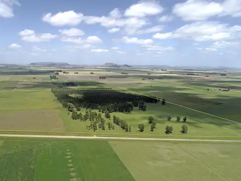 Campo en Venta en Balcarce, Partido de Balcarce
