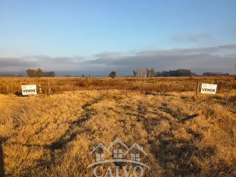 Campo en Venta en Mercedes, Partido de Mercedes