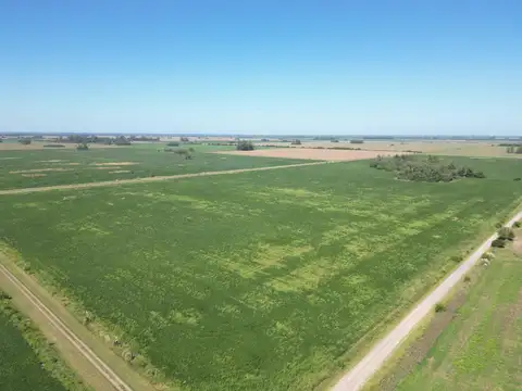 Campo en Venta en Cortines, Partido de Luján