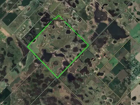 Campo en Venta en Trenque Lauquen, Partido de Trenque Lauquen