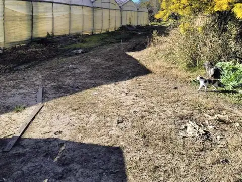 Campo en Venta en Poblet, Partido de La Plata