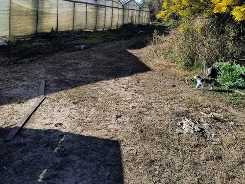 Campo en Venta en Poblet, Partido de La Plata