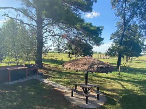 Campo en Venta en San Andres de Giles, Partido de San Andrés de Giles