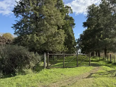 Campo en Venta en Villa Espil, Partido de San Andrés de Giles