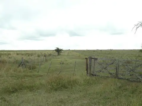 Campo en Venta en General Lavalle, Partido de General Lavalle